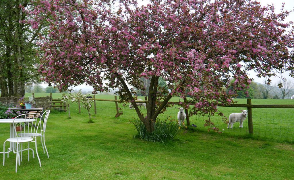 Eaton  Yew Tree Farm Bed & Breakfast エクステリア 写真