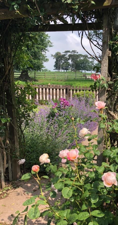 Eaton  Yew Tree Farm Bed & Breakfast エクステリア 写真