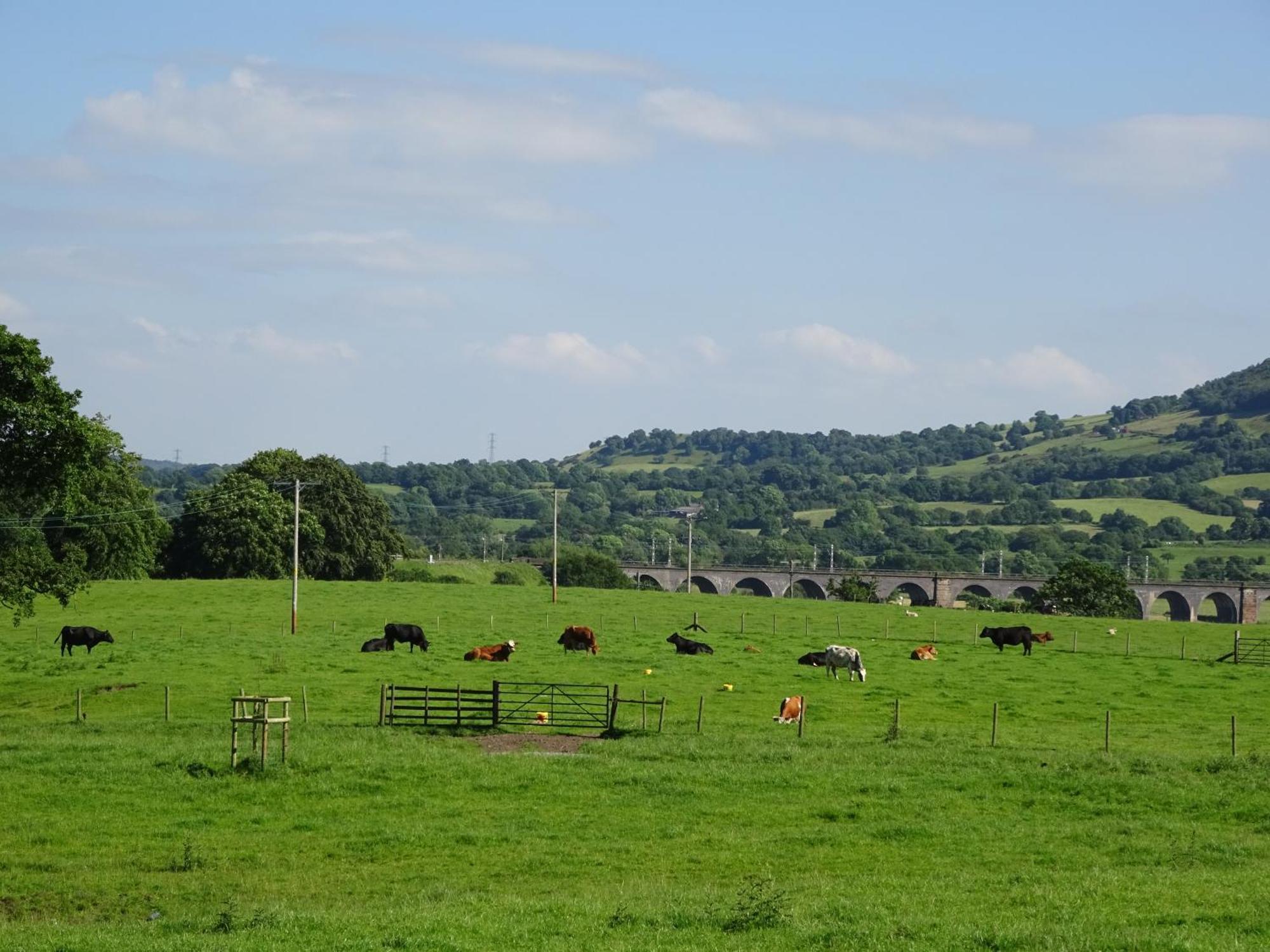 Eaton  Yew Tree Farm Bed & Breakfast エクステリア 写真