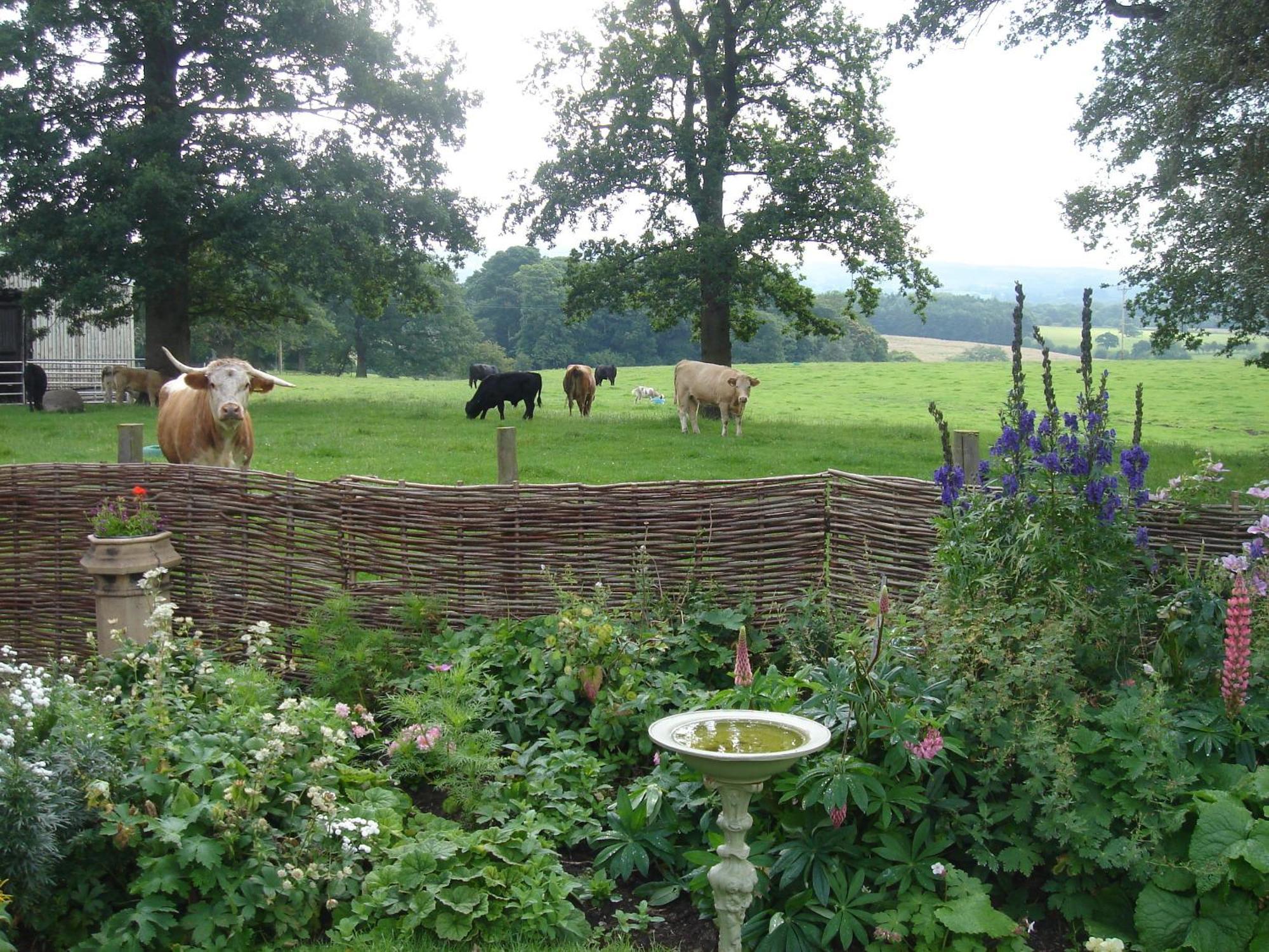 Eaton  Yew Tree Farm Bed & Breakfast エクステリア 写真