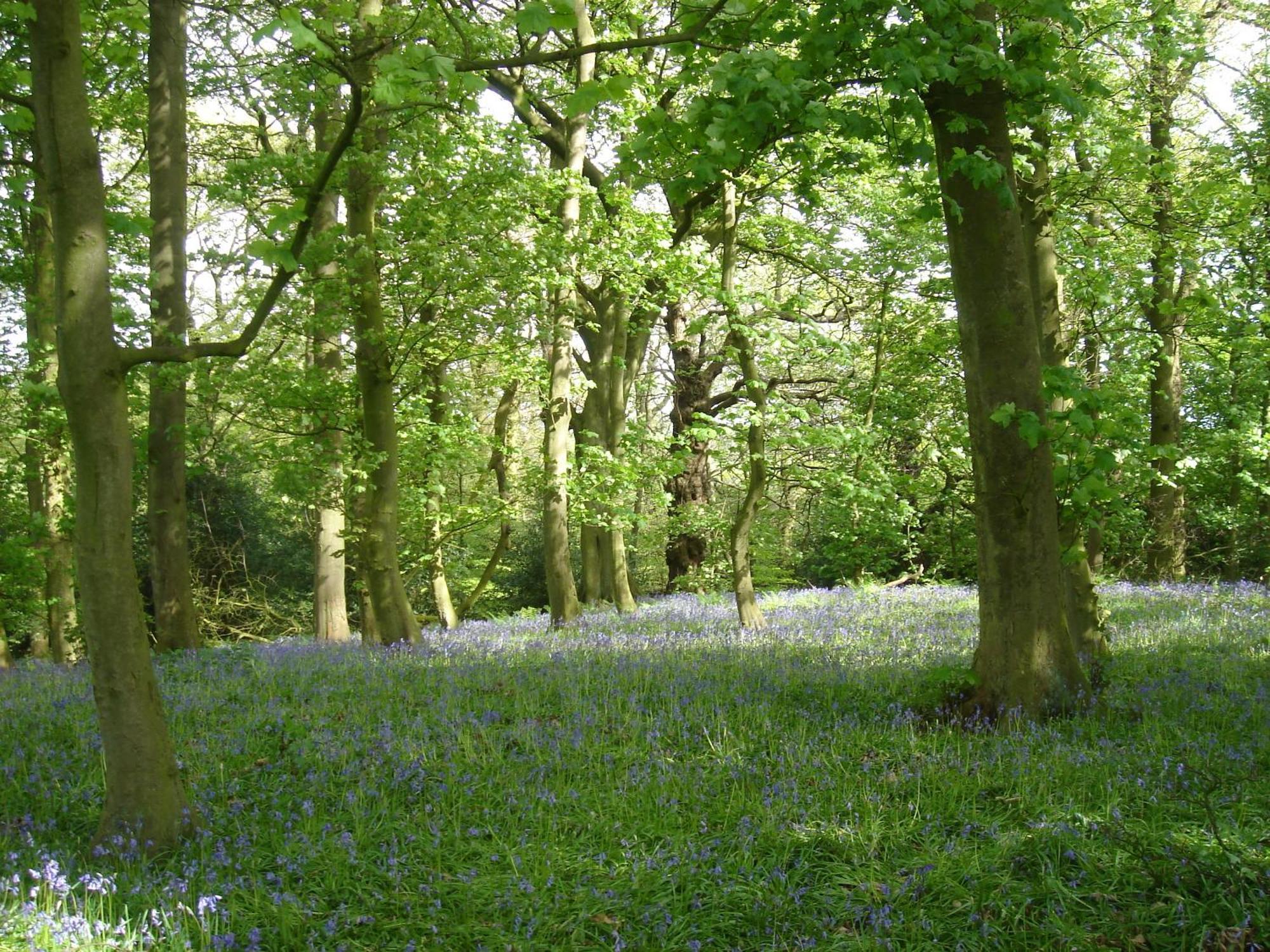 Eaton  Yew Tree Farm Bed & Breakfast エクステリア 写真