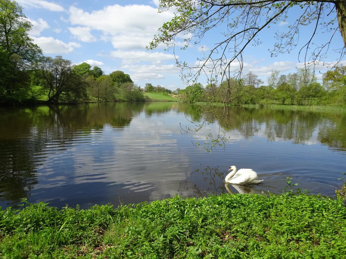 Eaton  Yew Tree Farm Bed & Breakfast エクステリア 写真