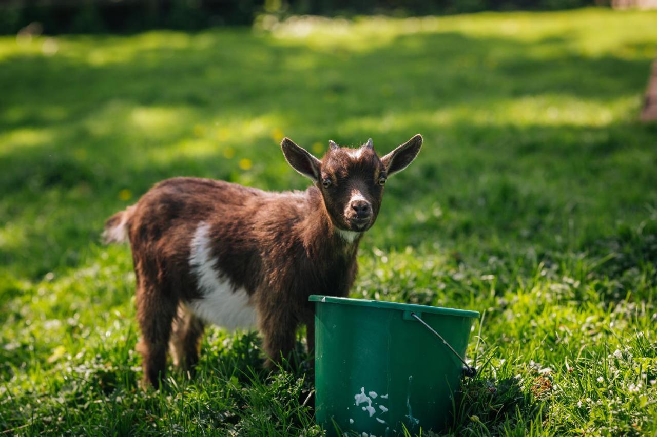 Eaton  Yew Tree Farm Bed & Breakfast エクステリア 写真