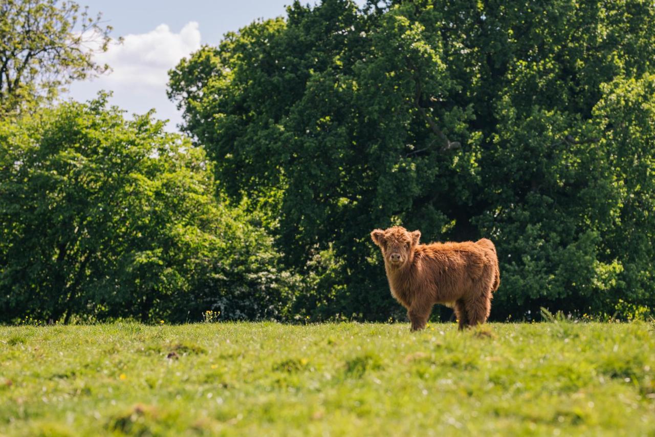 Eaton  Yew Tree Farm Bed & Breakfast エクステリア 写真