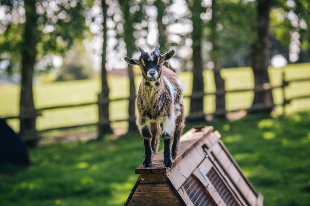 Eaton  Yew Tree Farm Bed & Breakfast エクステリア 写真