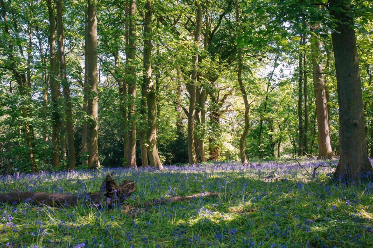 Eaton  Yew Tree Farm Bed & Breakfast エクステリア 写真