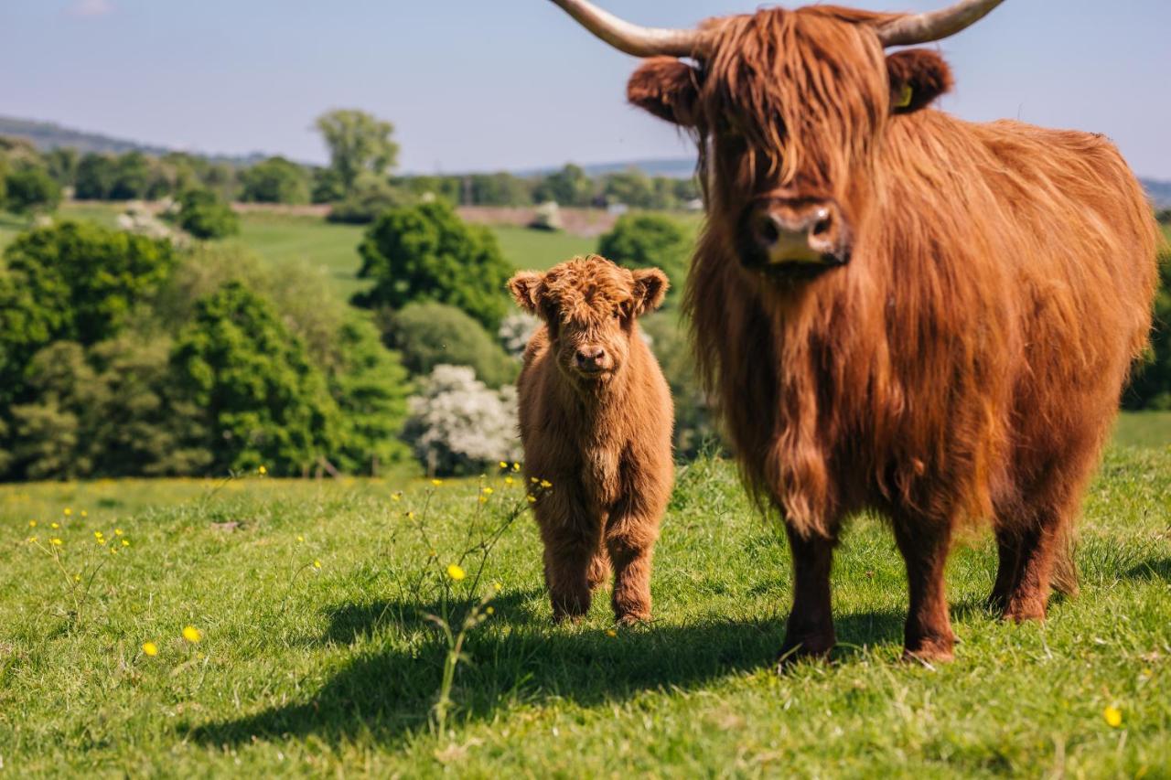 Eaton  Yew Tree Farm Bed & Breakfast エクステリア 写真